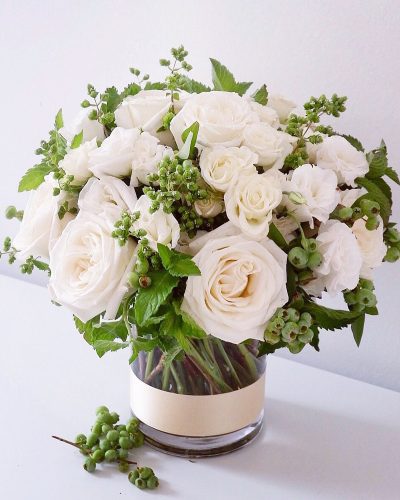 Elegant white