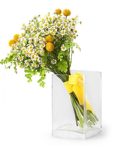 Chamomile Bouquet