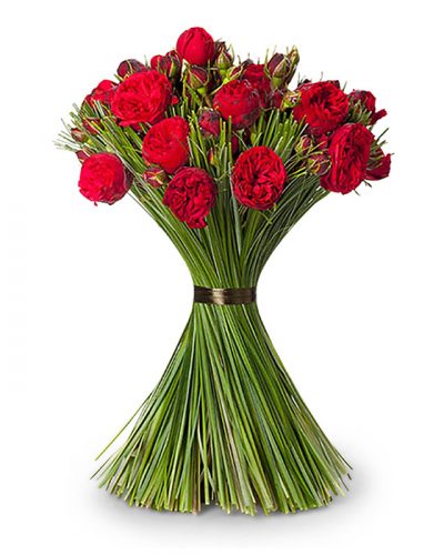 Piano red roses