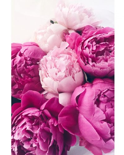 Peonies