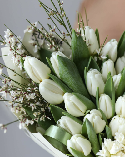 Tulips