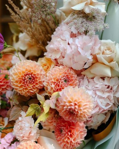 Dahlias