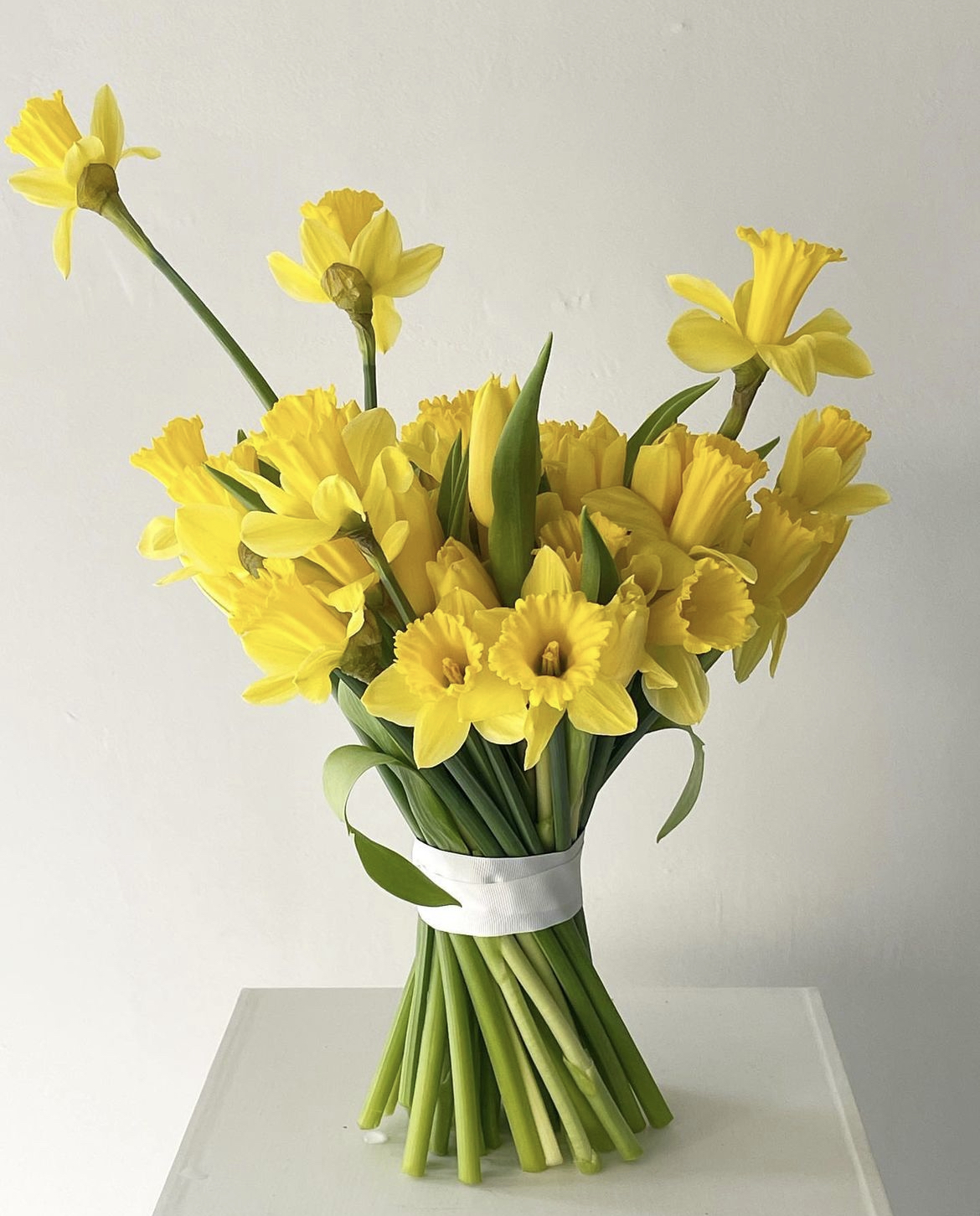 Daffodils