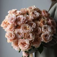 Classic roses peach shade color