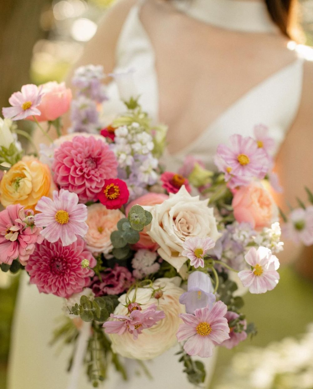 Colorful seasonal flowers