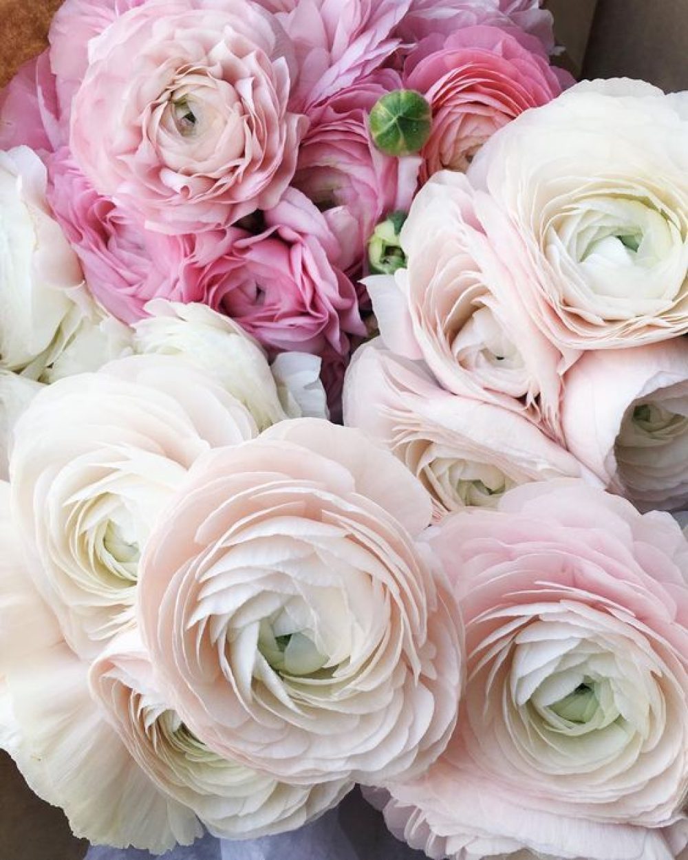 Artificial Ranunculus Flowers in White - 30