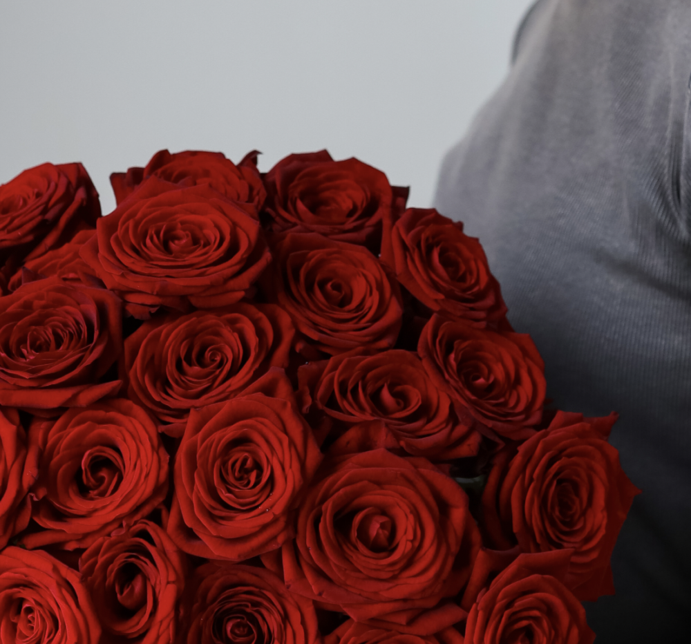 Classic Red roses