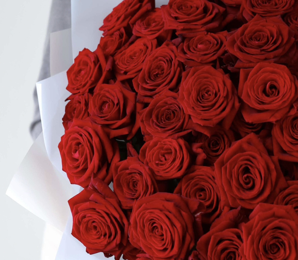 Classic Red roses