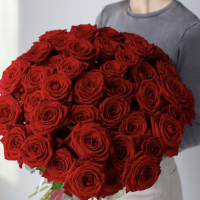 Classic Red roses