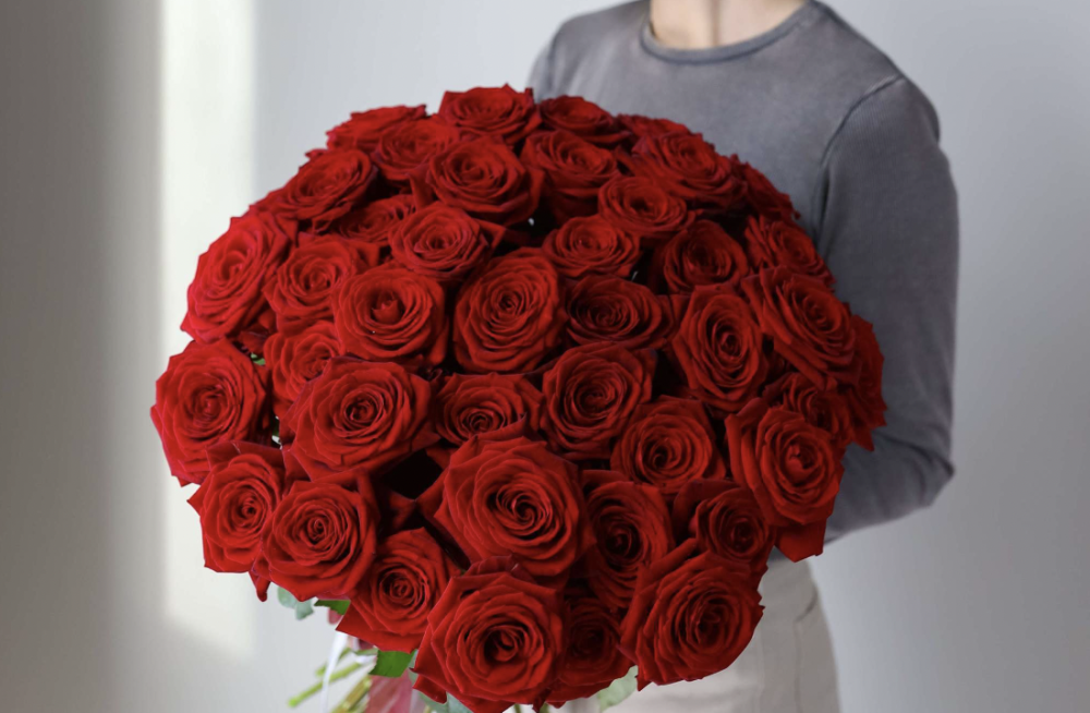 Classic Red roses