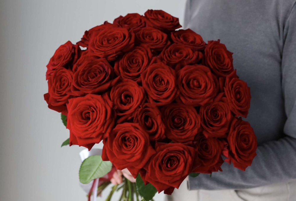 Classic Red roses